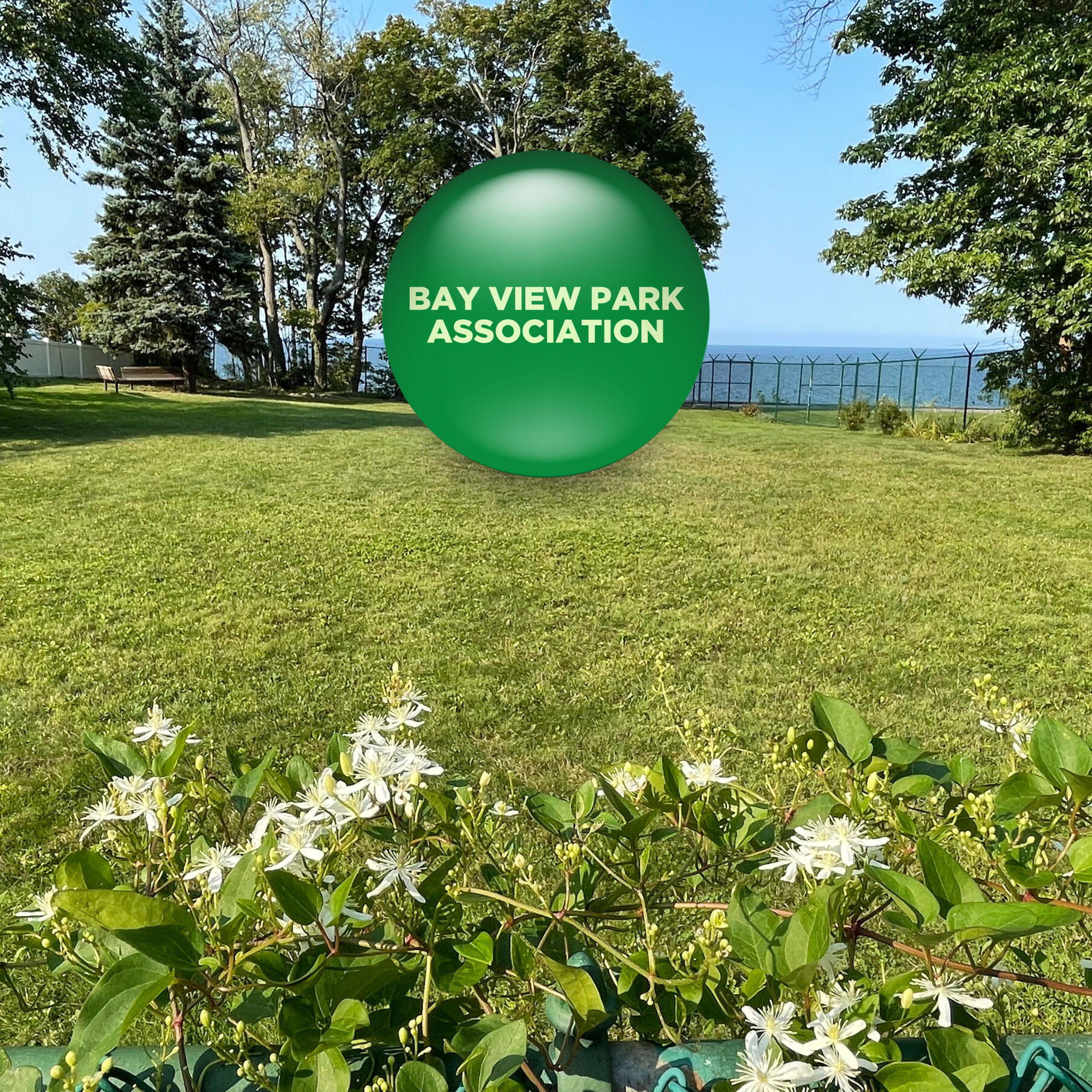 Board Chair | BVPA is a voluntary member organization of homeowners who work to keep access to Lake Erie available.